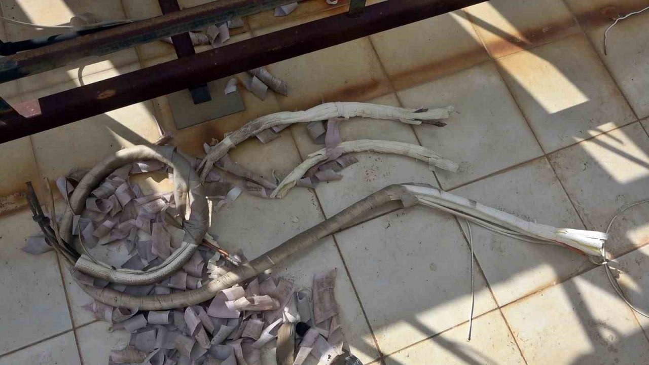 Apartmanın WhatsApp grubu, hırsızın 2 saatlik planını alt üst etti