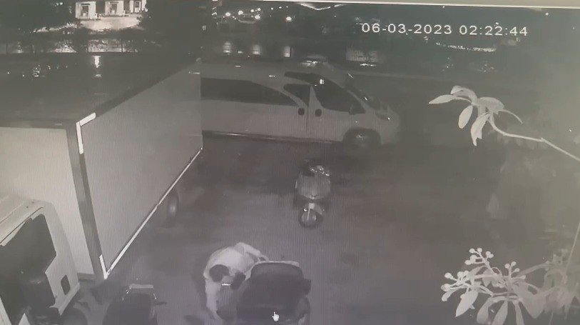 Elektrikli bisikleti elini kolunu sallaya sallaya çaldı