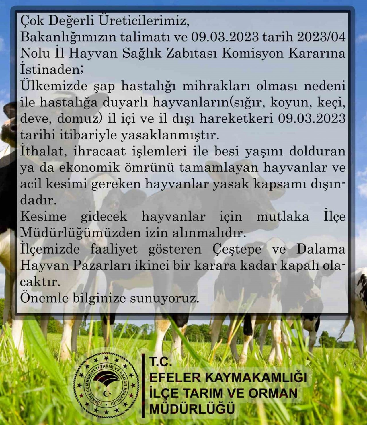 Aydın’da hayvan pazarları kapatıldı