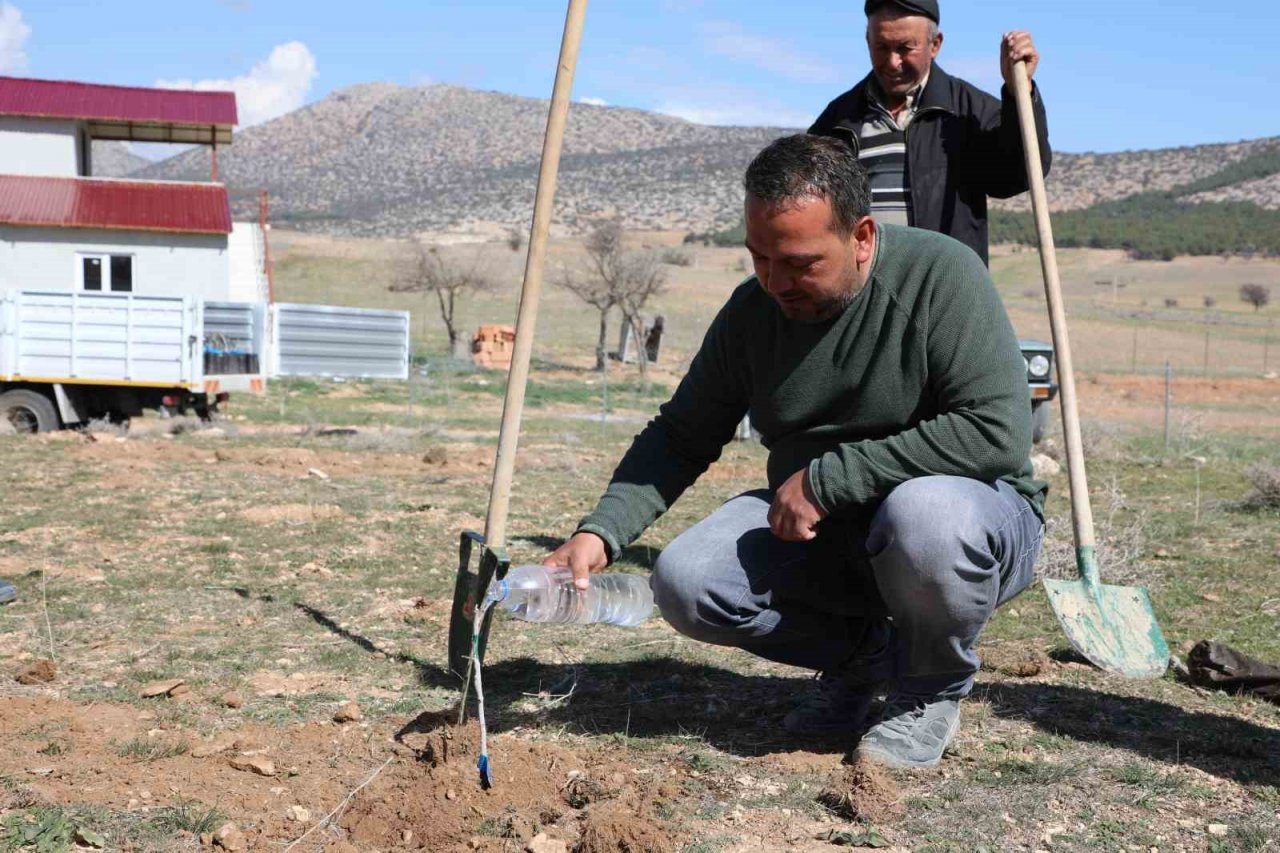 Korkuteli’de antepfıstığı yetiştiriciliği yapılacak