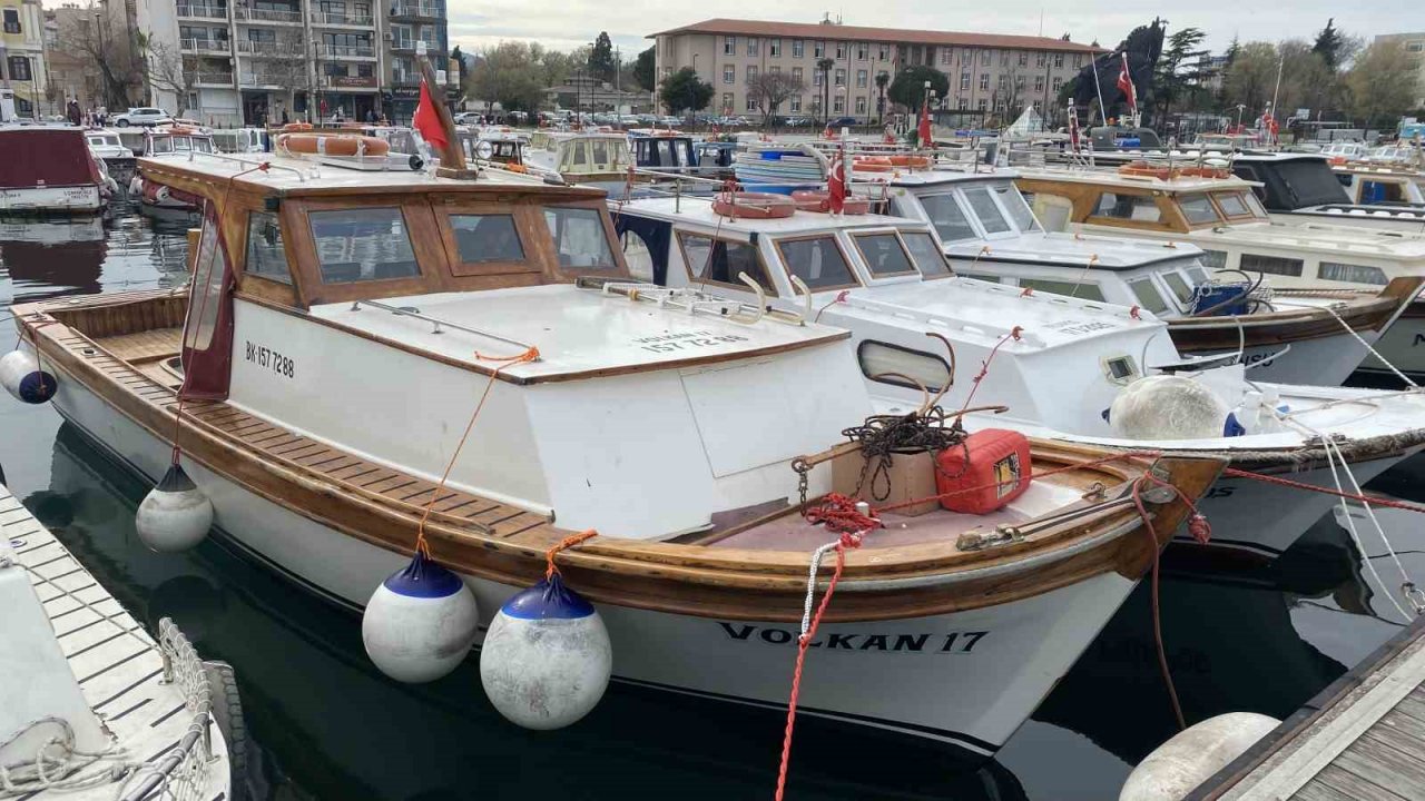 Nesli tükenmekte olan köpek balığı teknede doğum yaptı