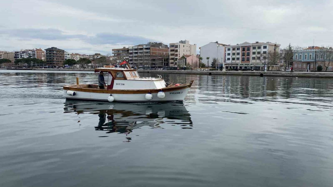 Nesli tükenmekte olan köpek balığı teknede doğum yaptı