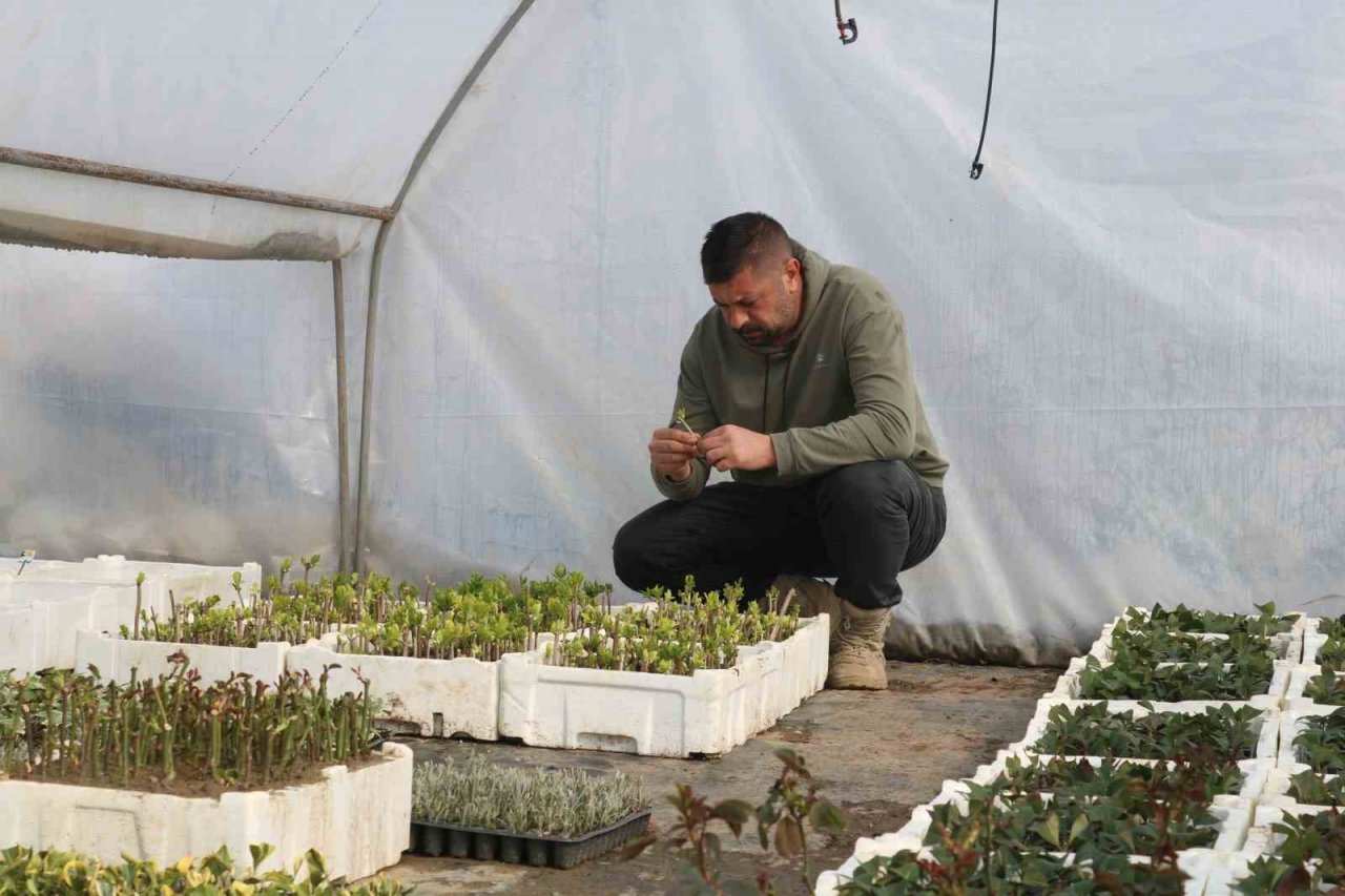 Depremin ardından bahçelere yönelen vatandaşların fide ve bitkilere ilgisi arttı