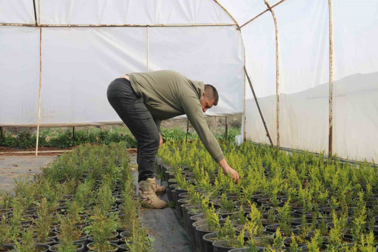 Depremin ardından bahçelere yönelen vatandaşların fide ve bitkilere ilgisi arttı