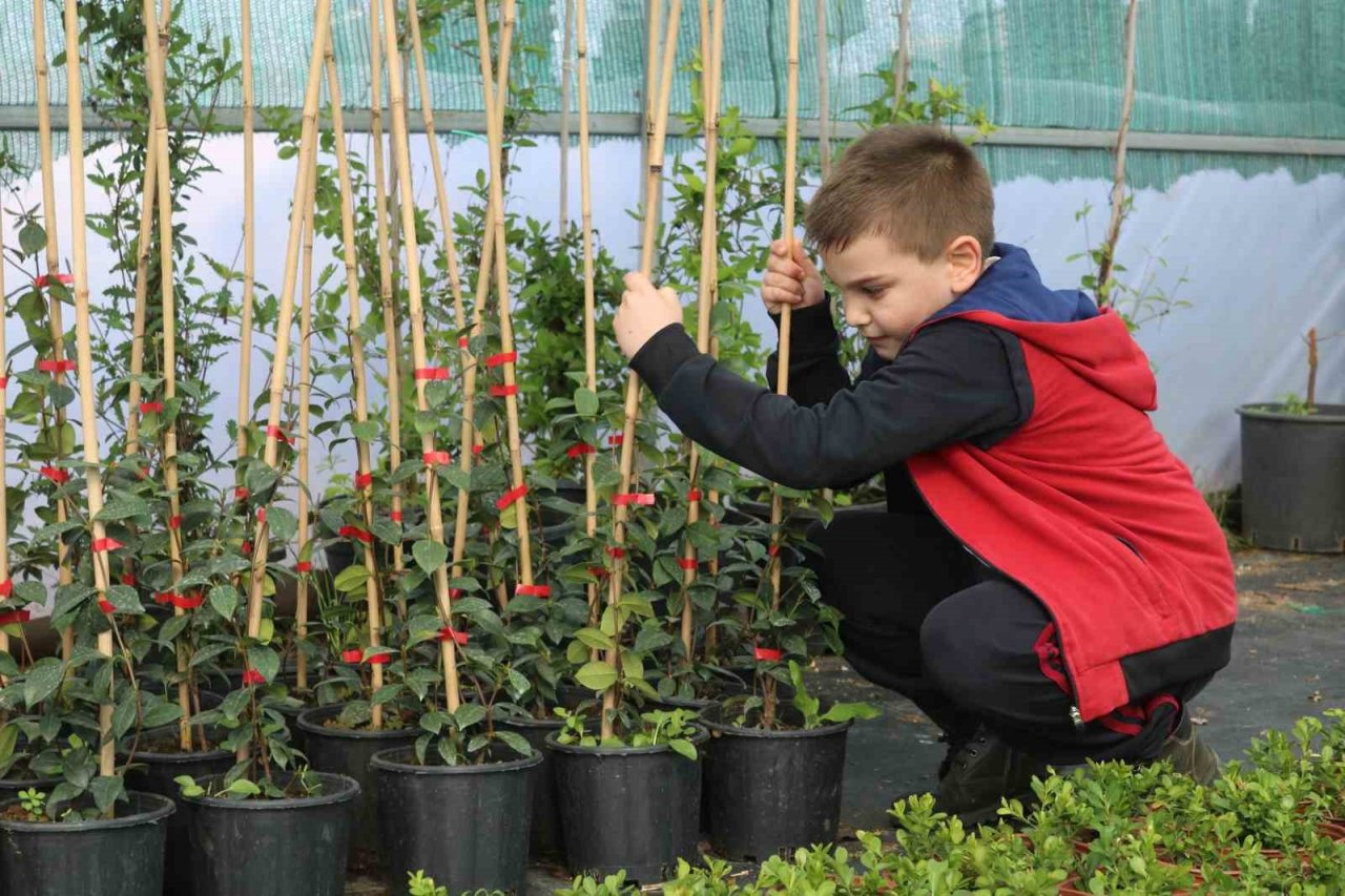 Depremin ardından bahçelere yönelen vatandaşların fide ve bitkilere ilgisi arttı