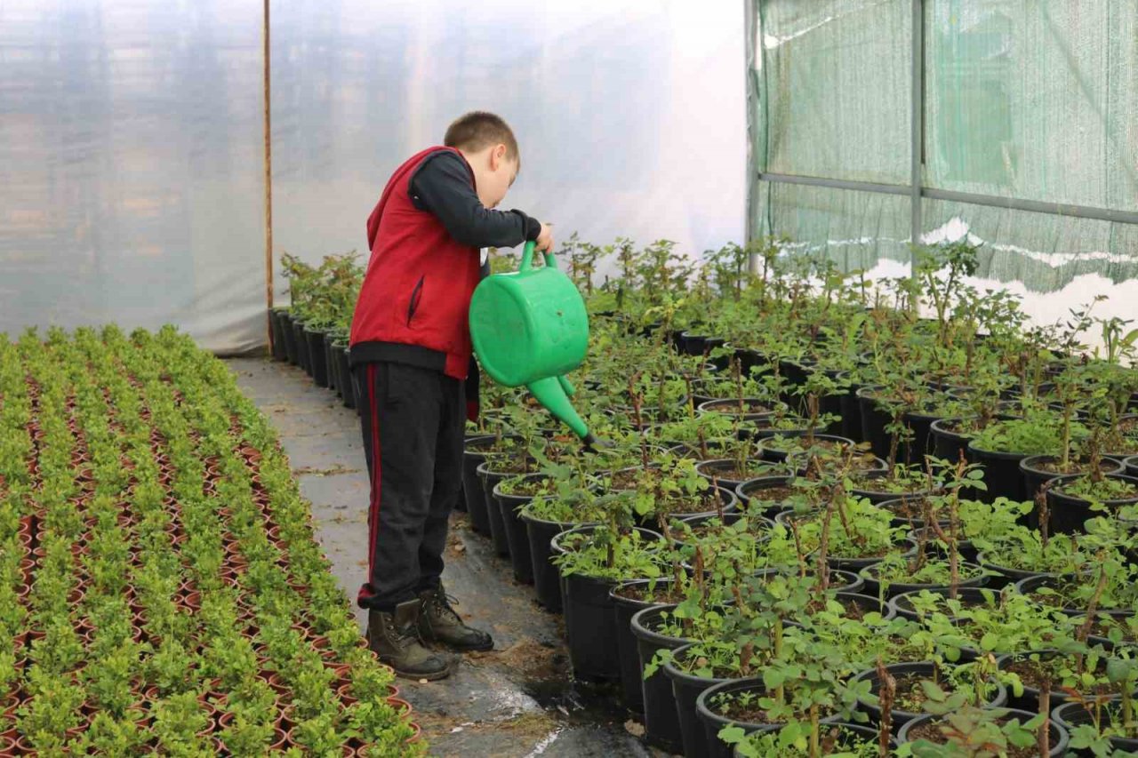 Depremin ardından bahçelere yönelen vatandaşların fide ve bitkilere ilgisi arttı