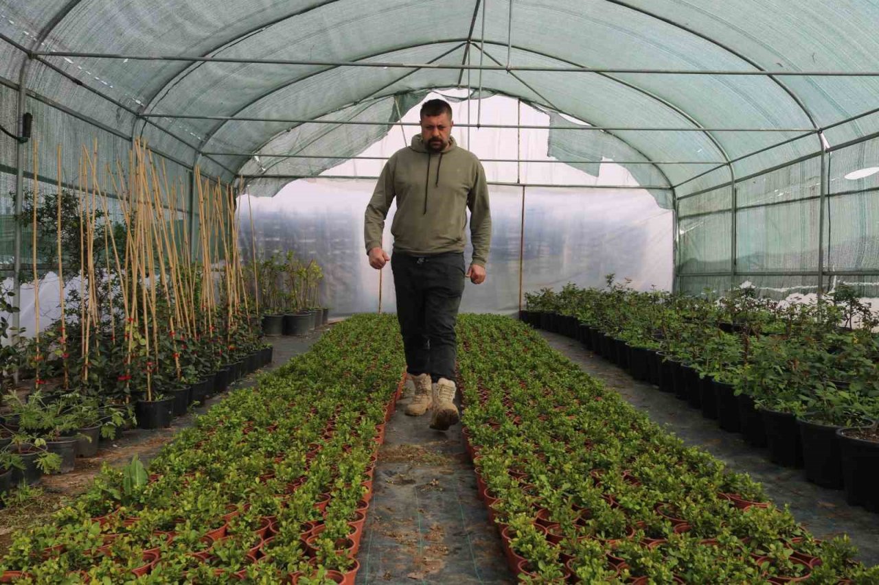 Depremin ardından bahçelere yönelen vatandaşların fide ve bitkilere ilgisi arttı