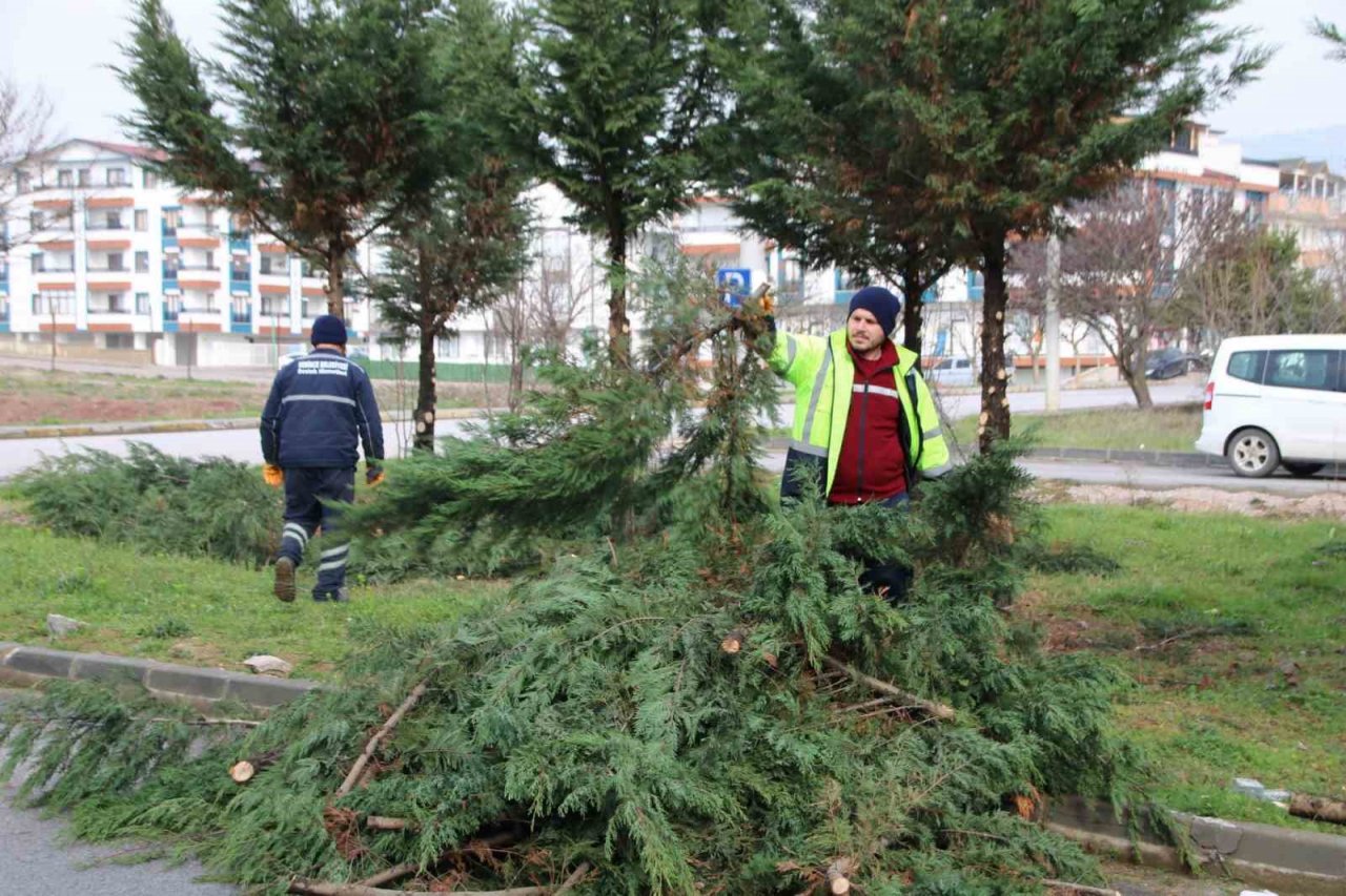 Derince’nin sokakları bahara hazırlanıyor