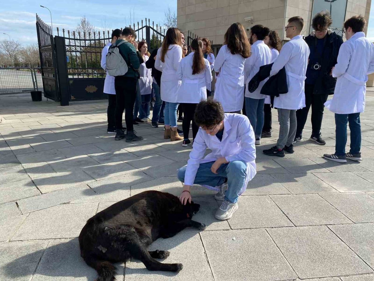 İstanbul Üniversitesi Veteriner Fakültesi öğrencileri eylemlerini sürdürüyor
