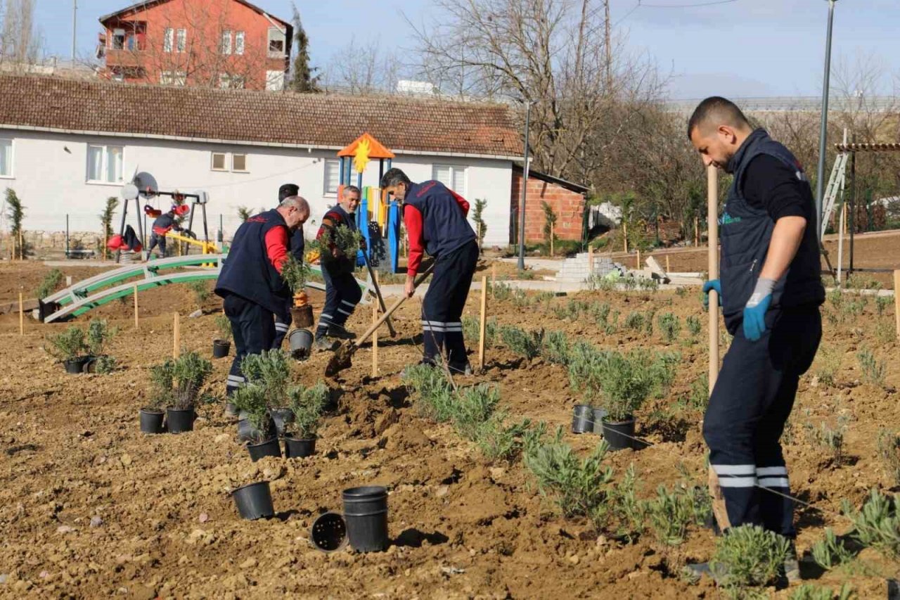 Gündoğdu lavanta ile canlandırılacak