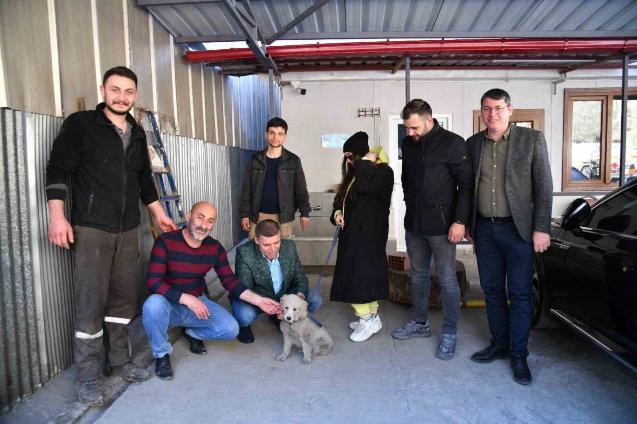 Kahramanmaraş’ta enkaz altından kurtarılan köpek Trabzon’da sahiplendirildi