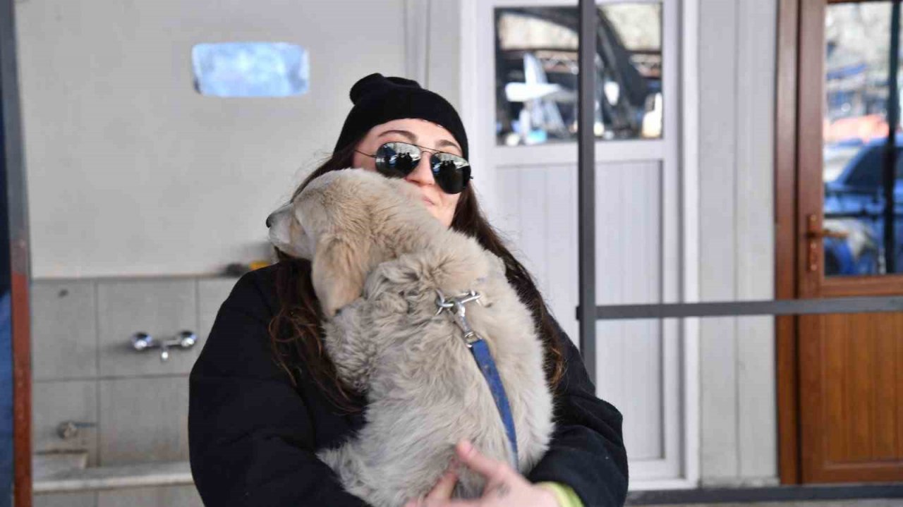 Kahramanmaraş’ta enkaz altından kurtarılan köpek Trabzon’da sahiplendirildi
