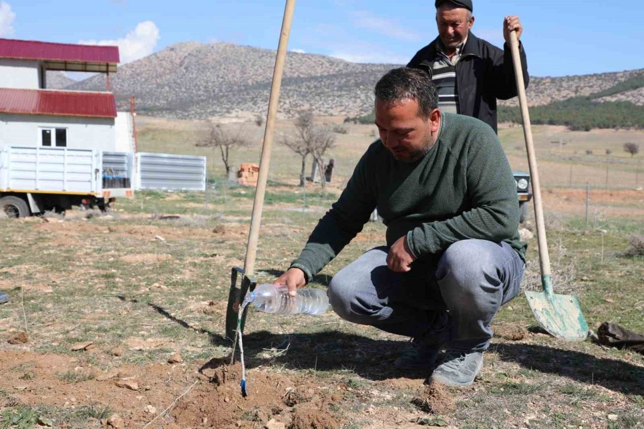 Korkuteli’de antepfıstığı yetiştiriciliği yapılacak