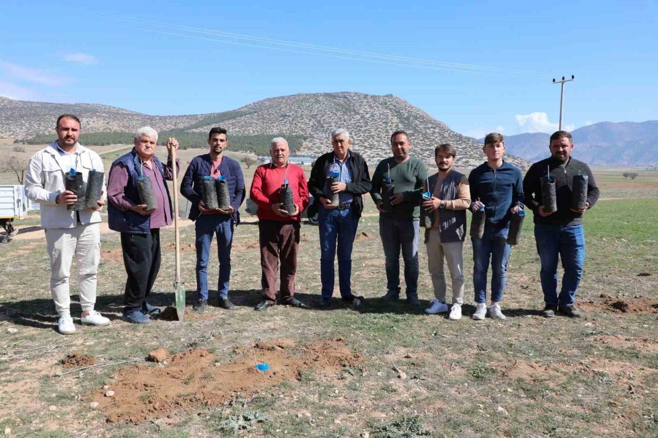 Korkuteli’de antepfıstığı yetiştiriciliği yapılacak