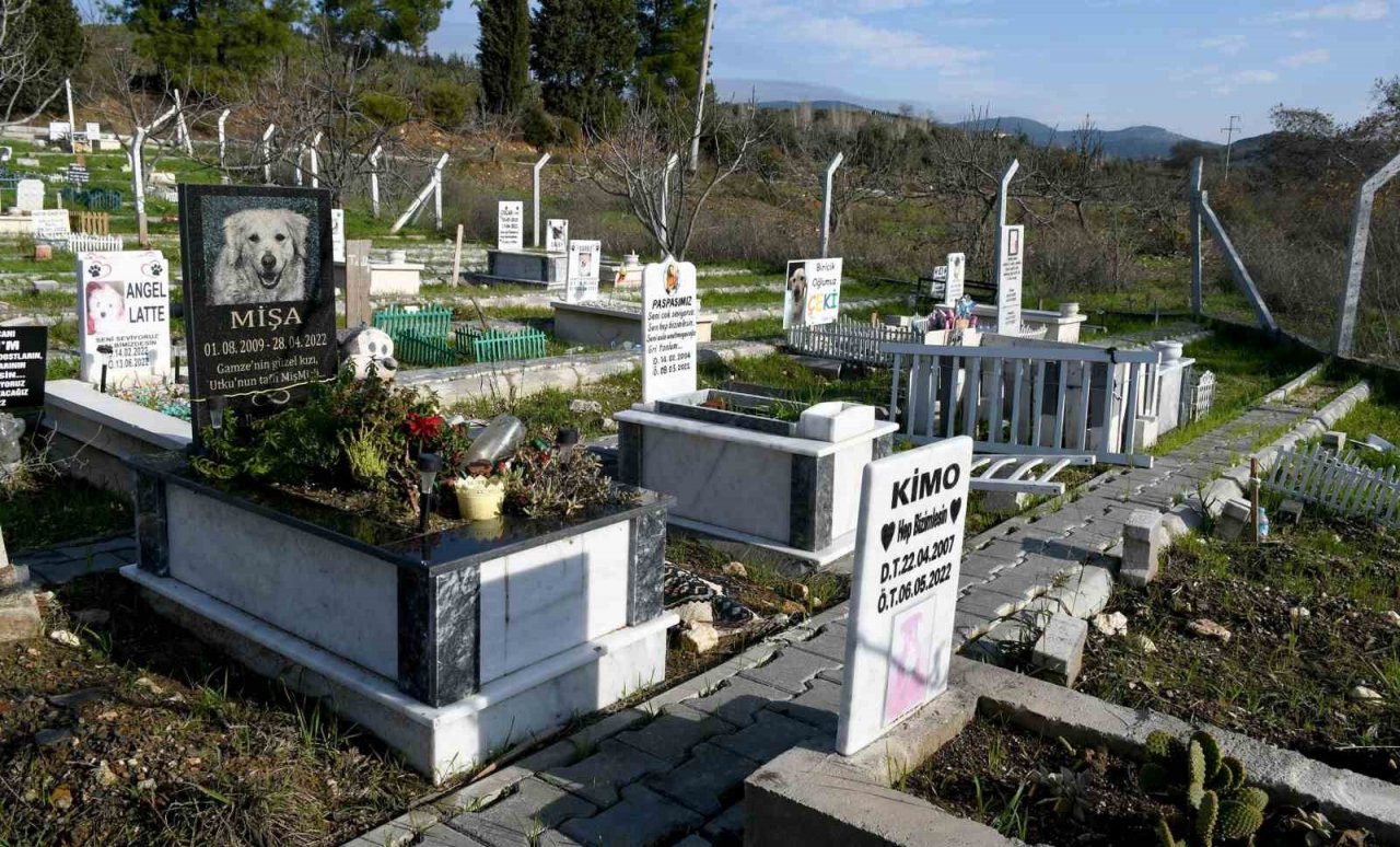 Kahraman köpek Proteo’nun ismi Kuşadası’nda yaşayacak