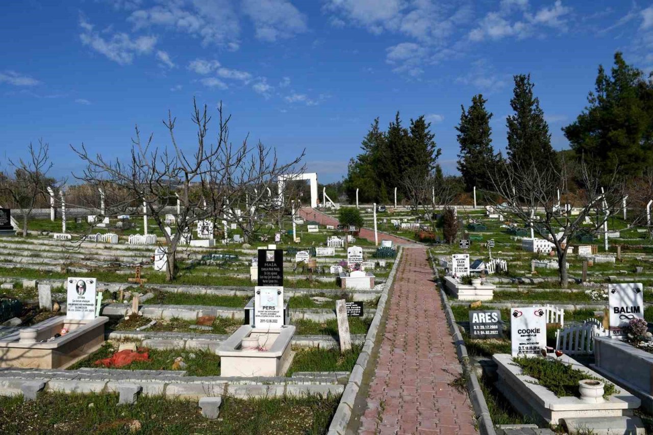 Kahraman köpek Proteo’nun ismi Kuşadası’nda yaşayacak