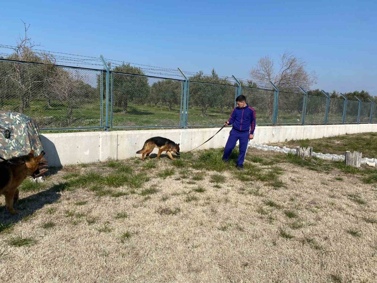Eğitimlerini tamamlayan 2 köpek jandarmaya sahiplendirildi