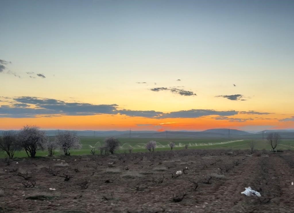 Mazıdağı ilkbaharın renklerine büründü
