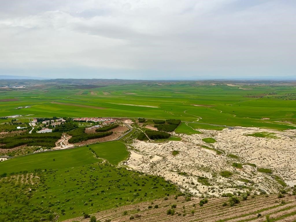 Mazıdağı ilkbaharın renklerine büründü