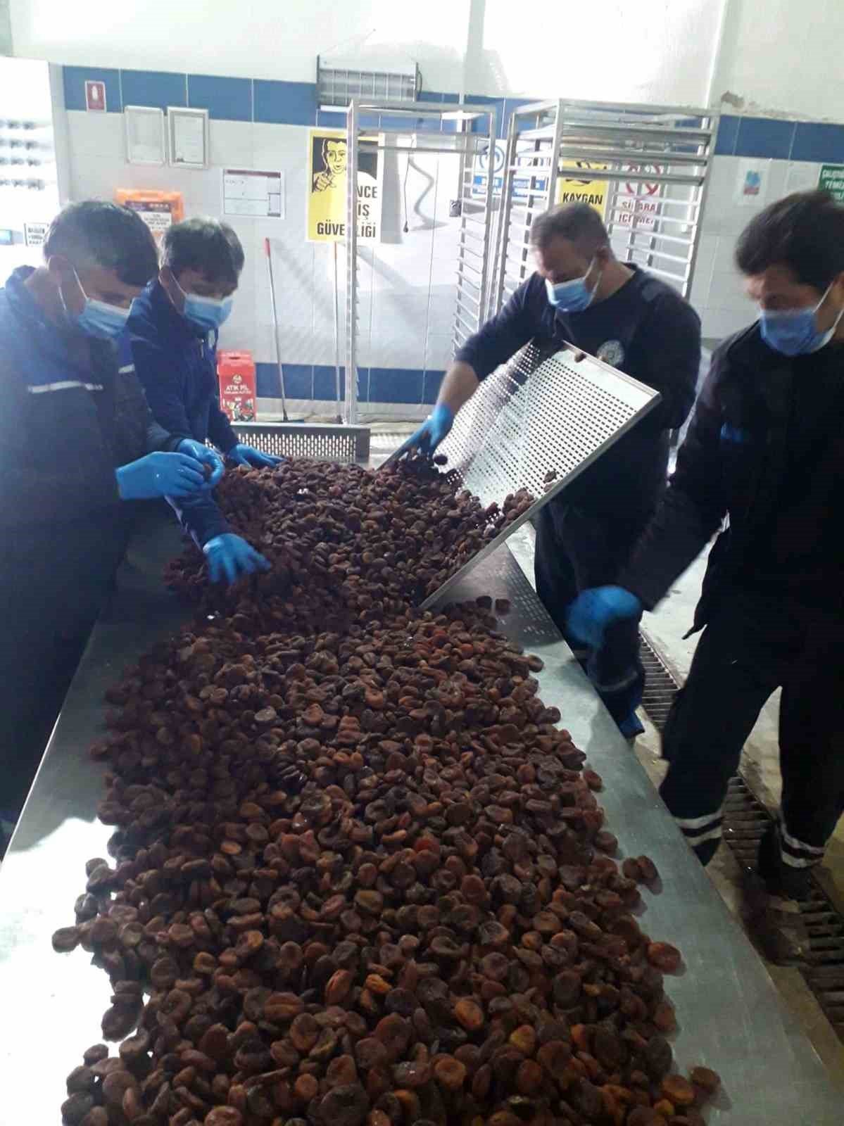 Büyükşehir, Malatya’da üreticilerden satın aldığı kayısıları ücretsiz dağıtacak