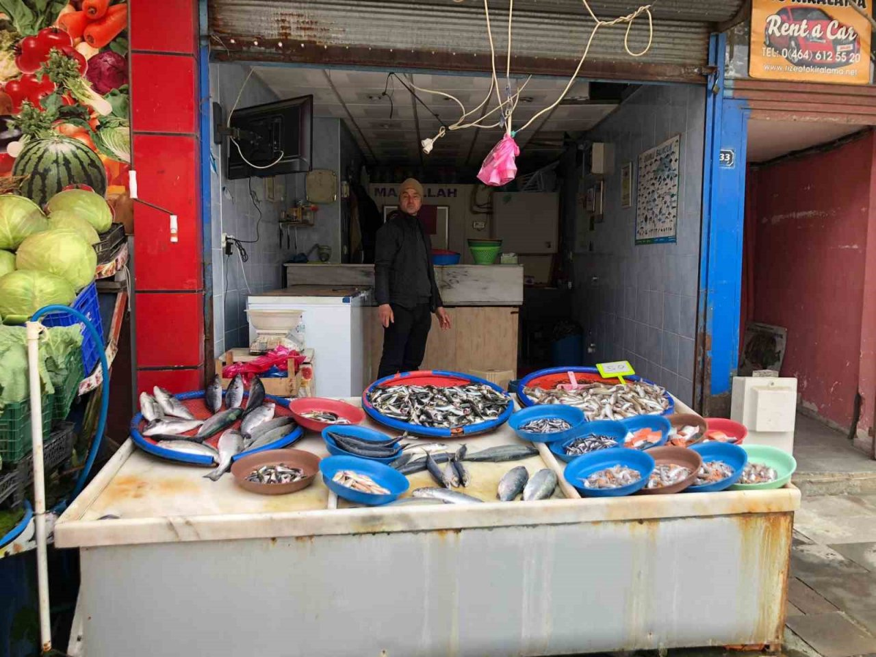 Trabzon’dan kaçan somonlar Rize’de tezgaha düştü