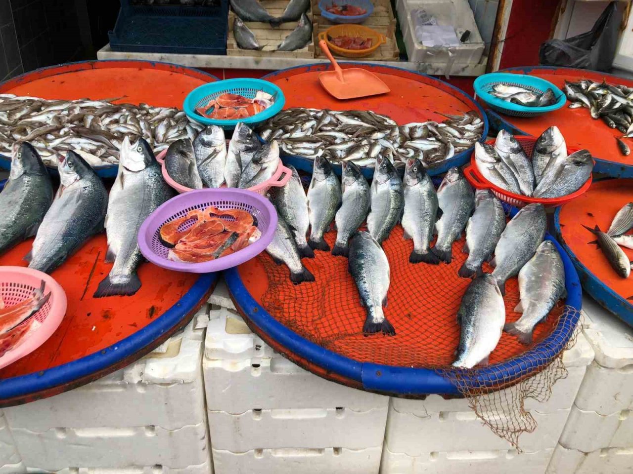 Trabzon’dan kaçan somonlar Rize’de tezgaha düştü