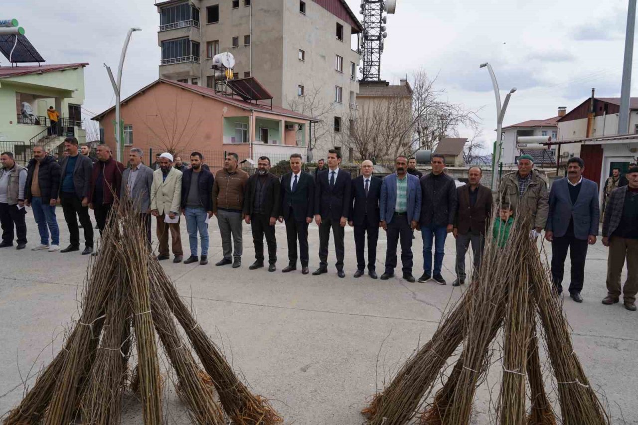 Kulp’ta, ipekböceği üreticilerine 10 bin adet dut fidanı dağıtıldı