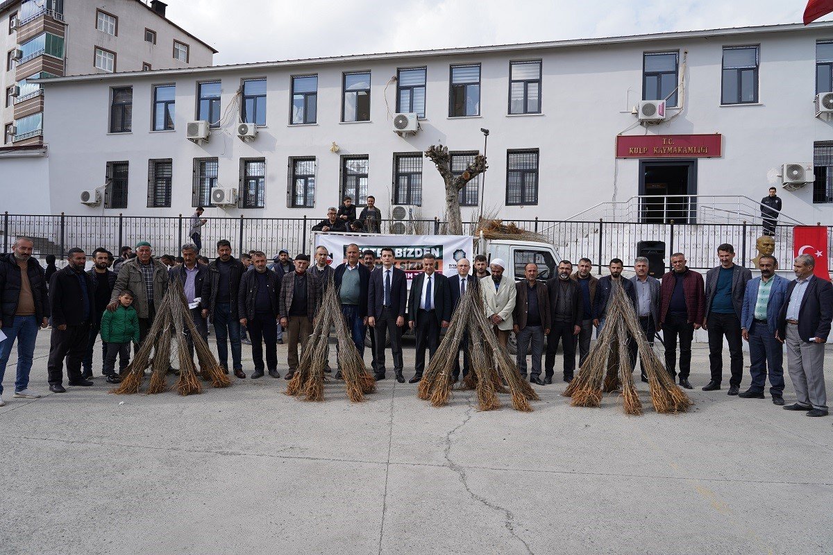 Kulp’ta, ipekböceği üreticilerine 10 bin adet dut fidanı dağıtıldı