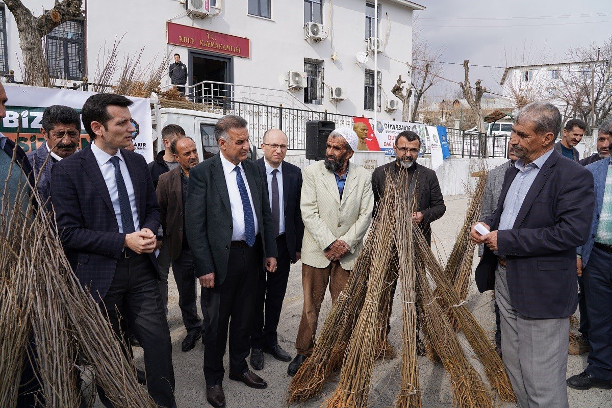 Kulp’ta, ipekböceği üreticilerine 10 bin adet dut fidanı dağıtıldı