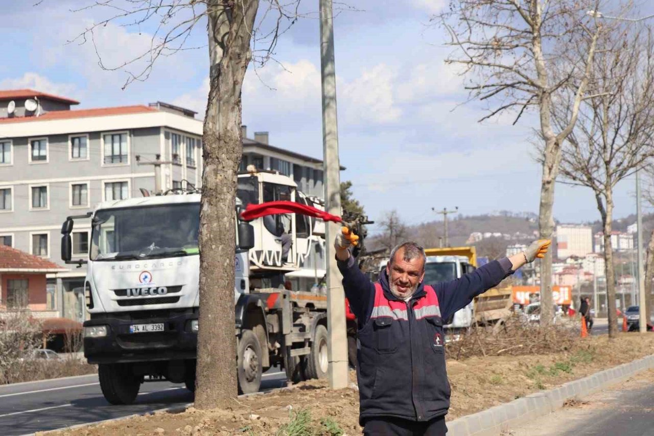 Ağaçlar bahar bakamı
