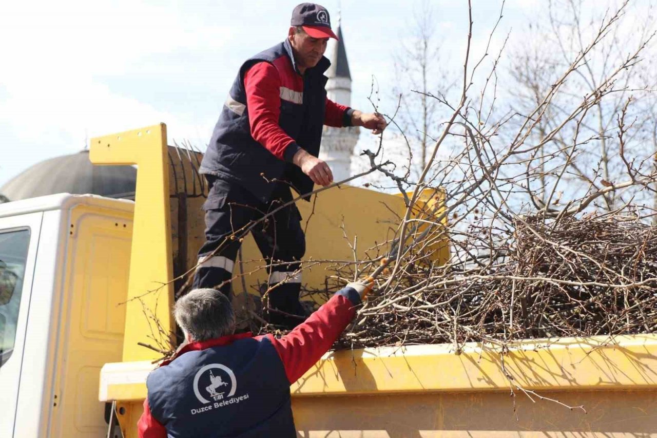 Ağaçlar bahar bakamı