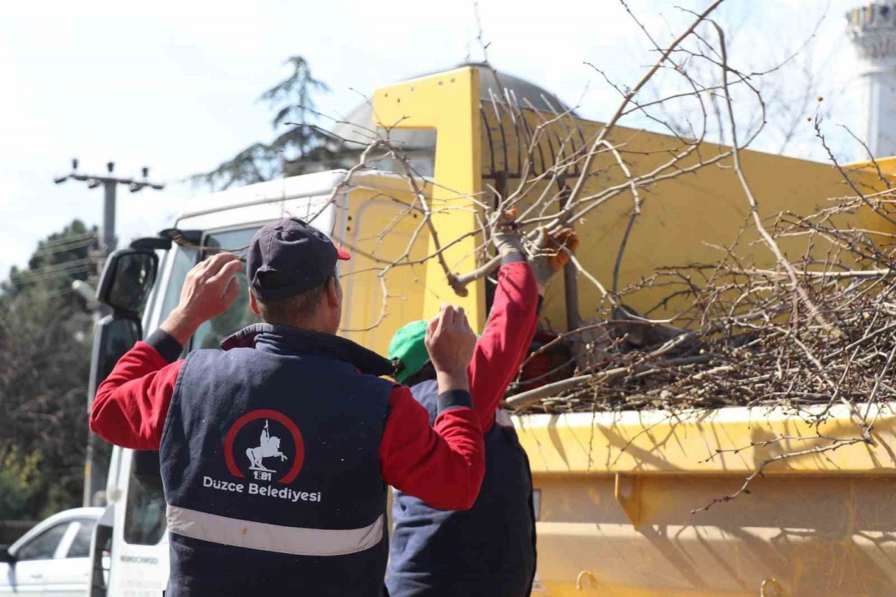 Ağaçlar bahar bakamı