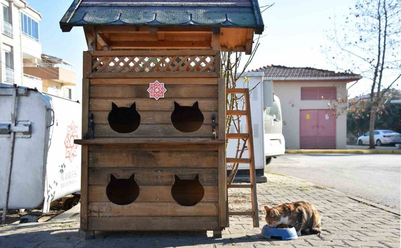 Karesi Belediyesi atıklardan sokak hayvanlarına kulübe yapıyor