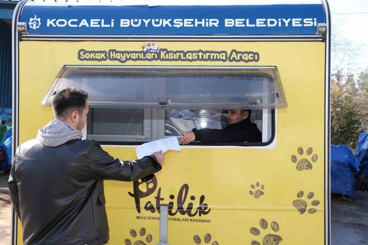 Sokak kedilerine kısırlaştırma karavanı