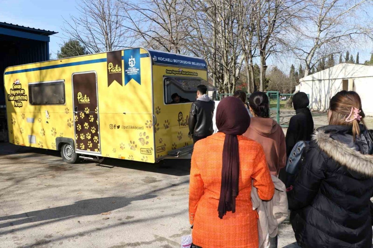 Sokak kedilerine kısırlaştırma karavanı