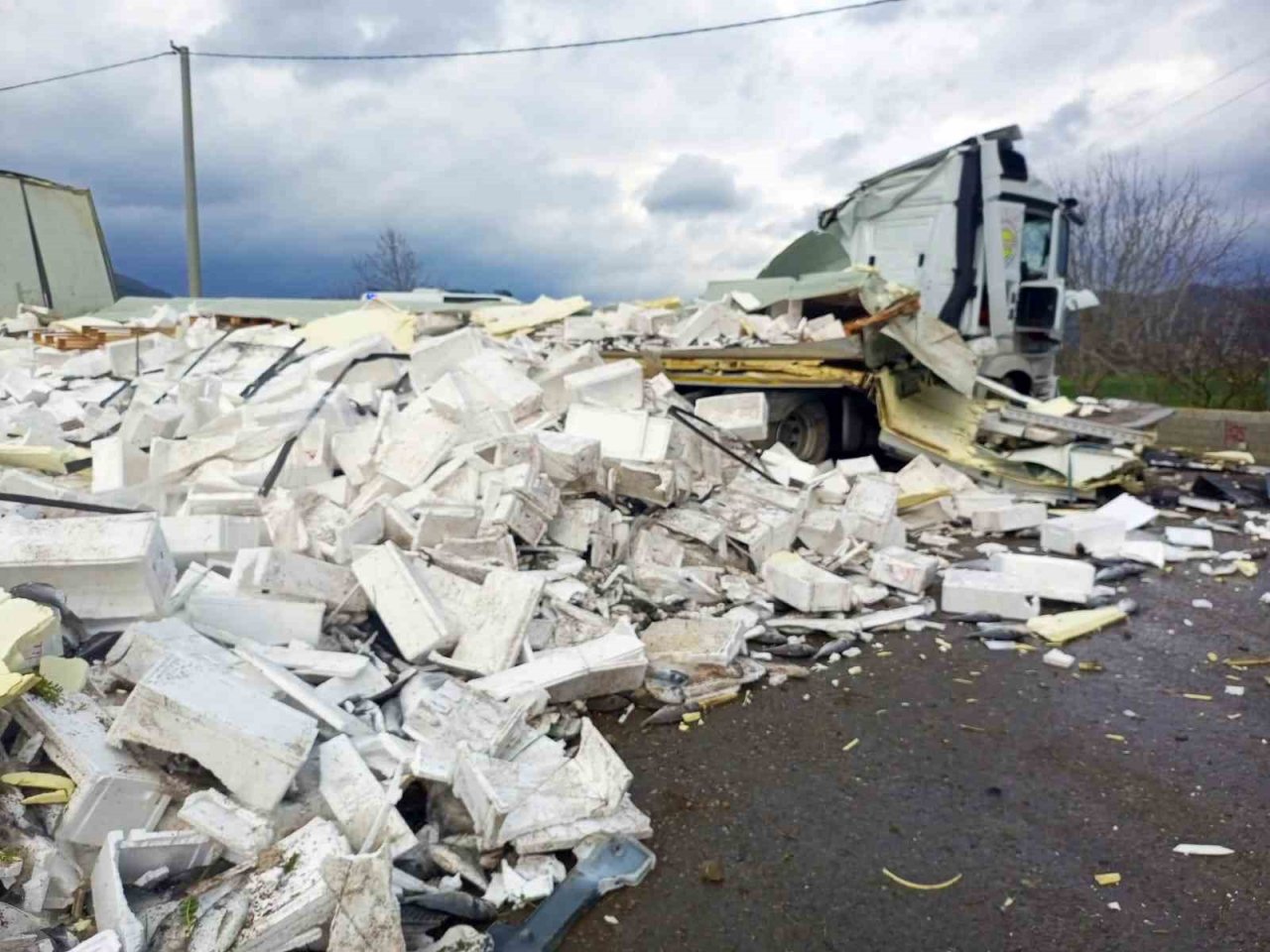 Balık yüklü tır kaza yaptı