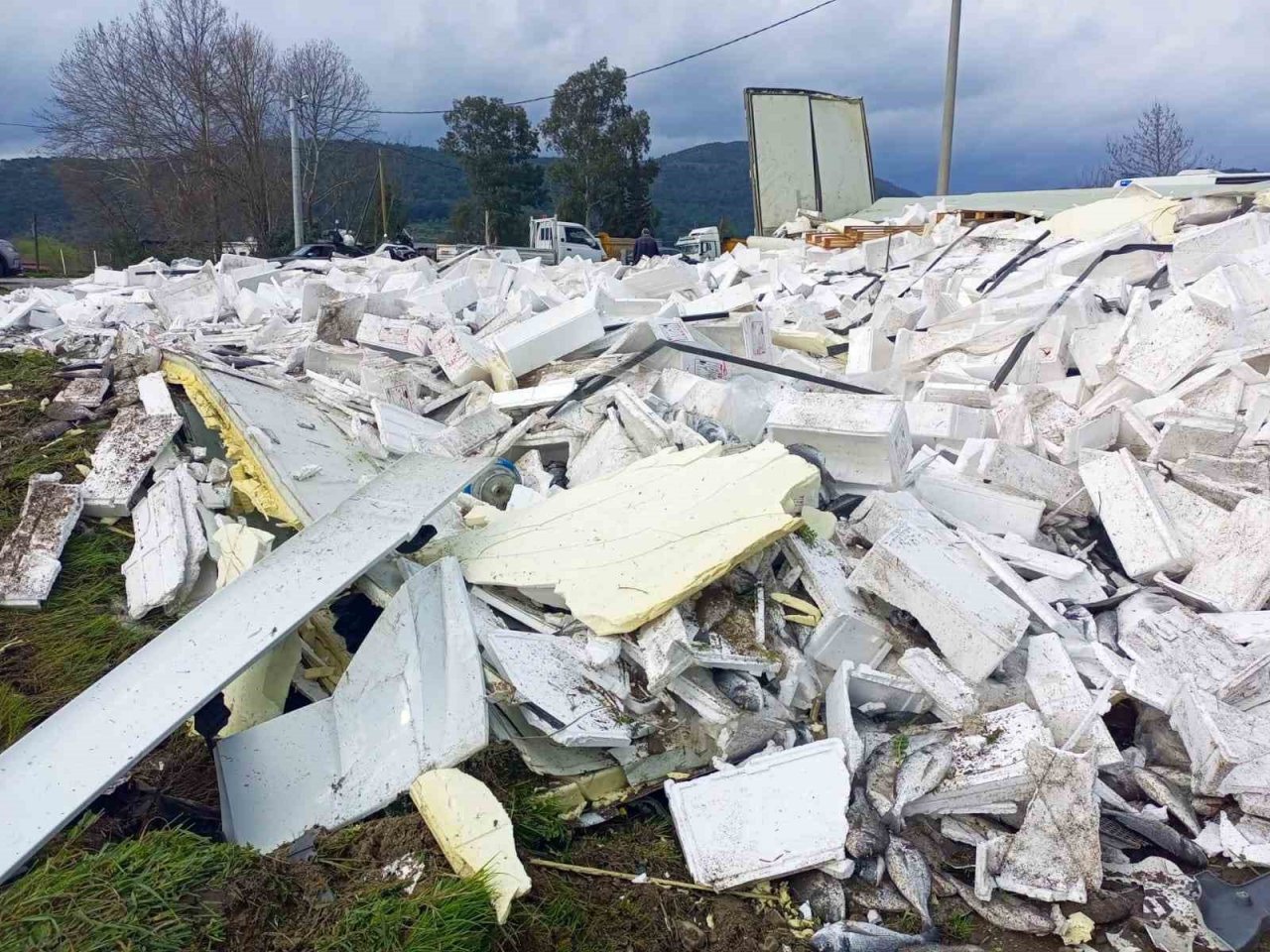 Balık yüklü tır kaza yaptı