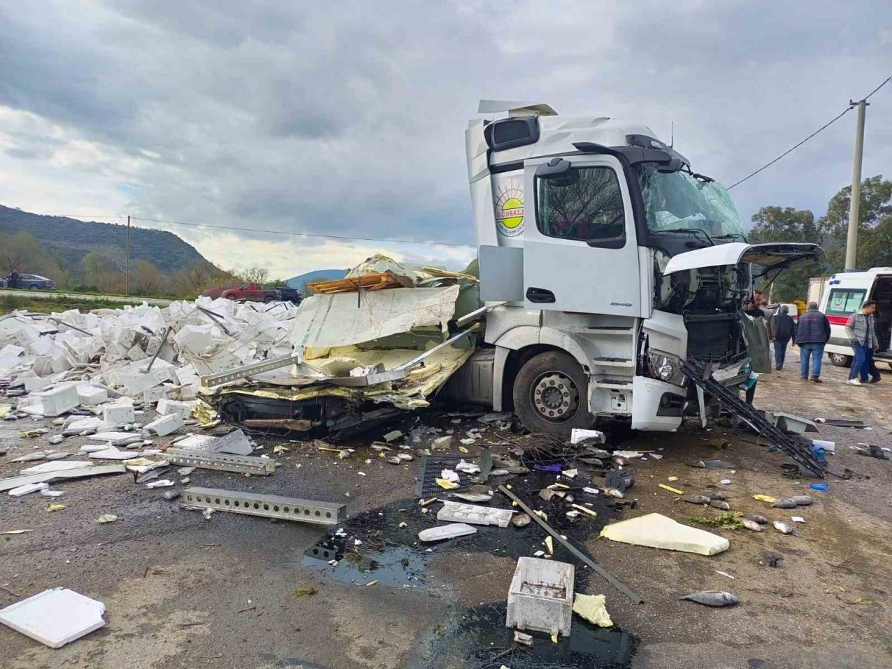 Balık yüklü tır kaza yaptı