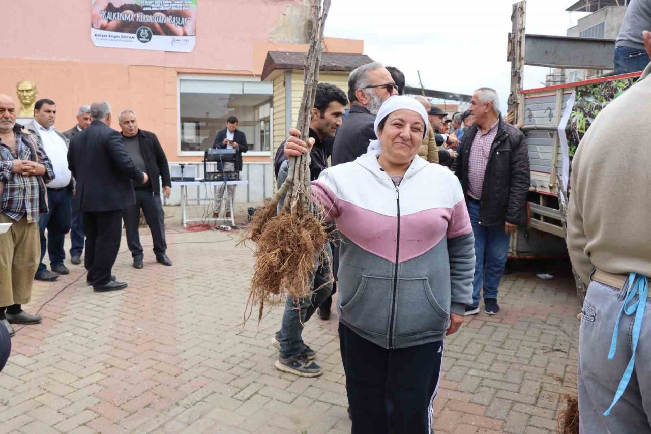 Nazilli Belediyesi’nden üreticilere 30 bin incir fidanı