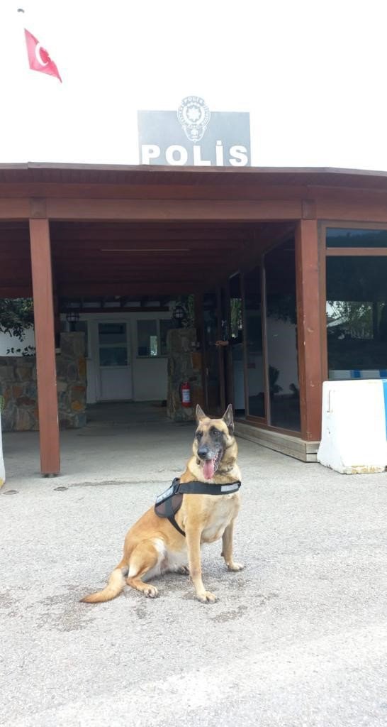 Satışa hazır uyuşturucuyla yakalandı