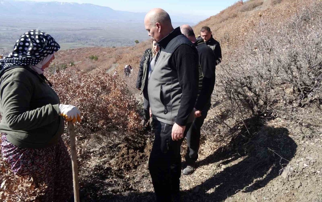 Simav’da 70 bin fidan toprakla buluşuyor