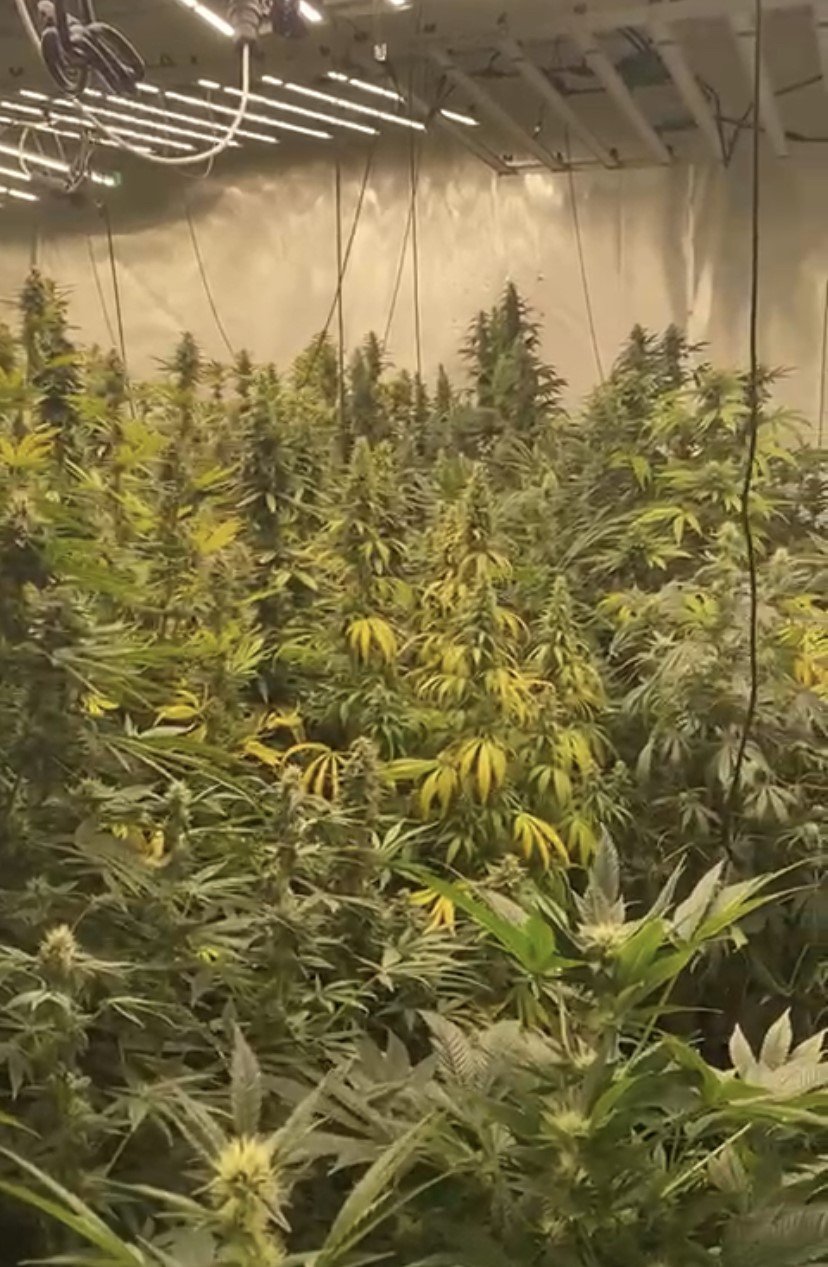 3 katlı binada 20 milyonluk uyuşturucu ele geçirildi, polis bile şaşkına döndü