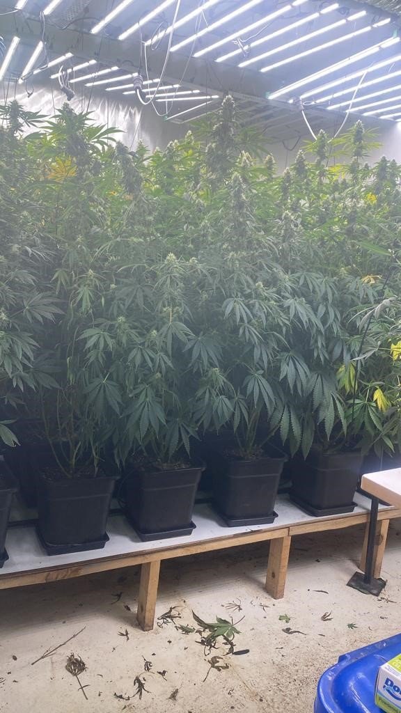 3 katlı binada 20 milyonluk uyuşturucu ele geçirildi, polis bile şaşkına döndü