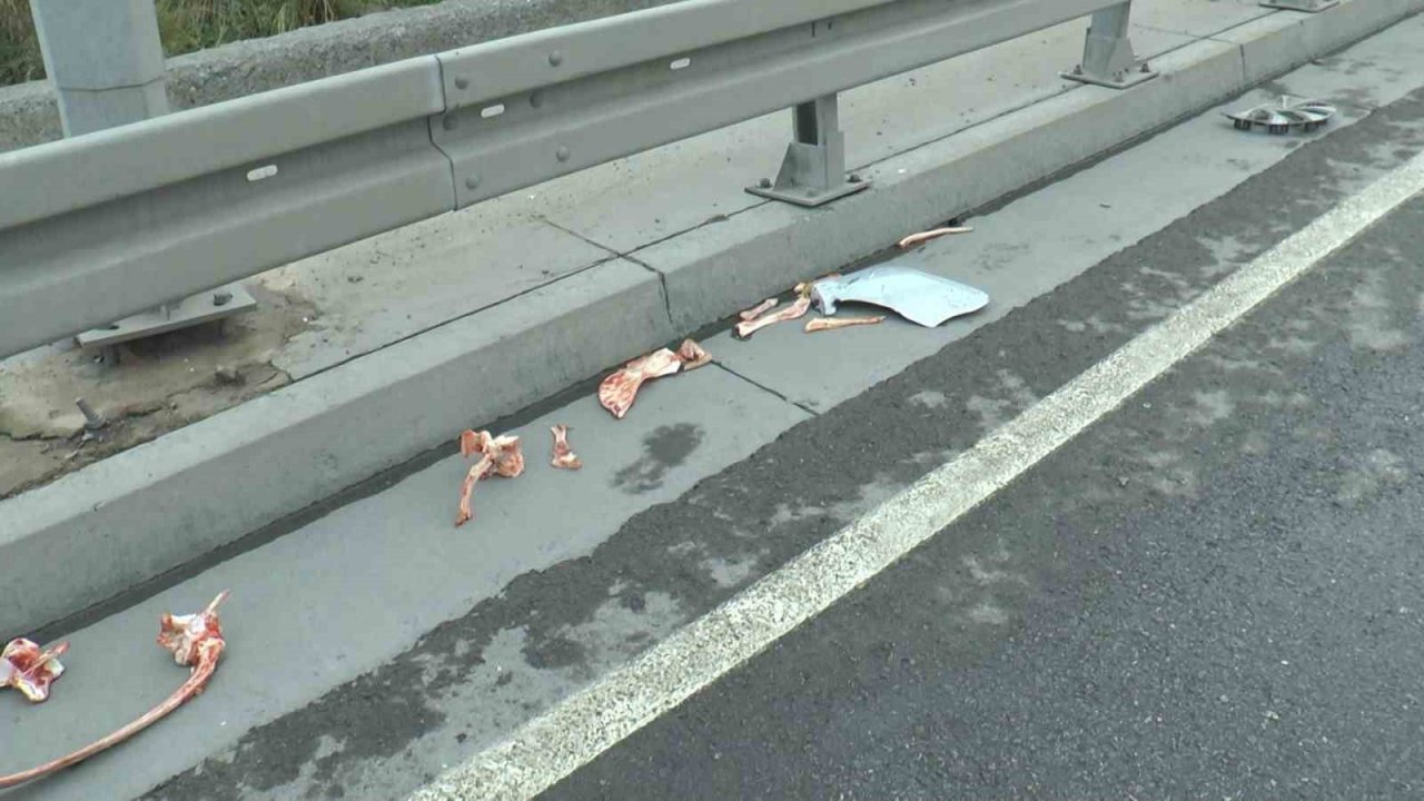 Maltepe’de kemik yüklü kamyonet kaygan zeminde yan yattı