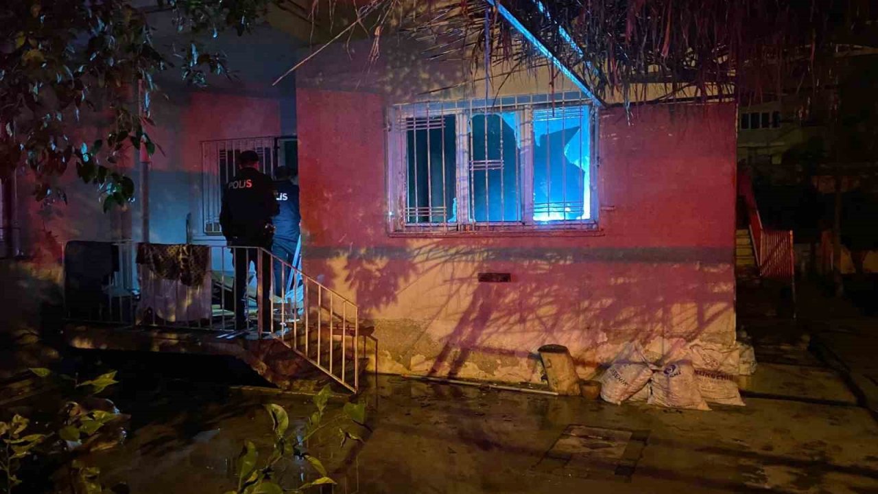 Aydın’da ev yangını panikletti