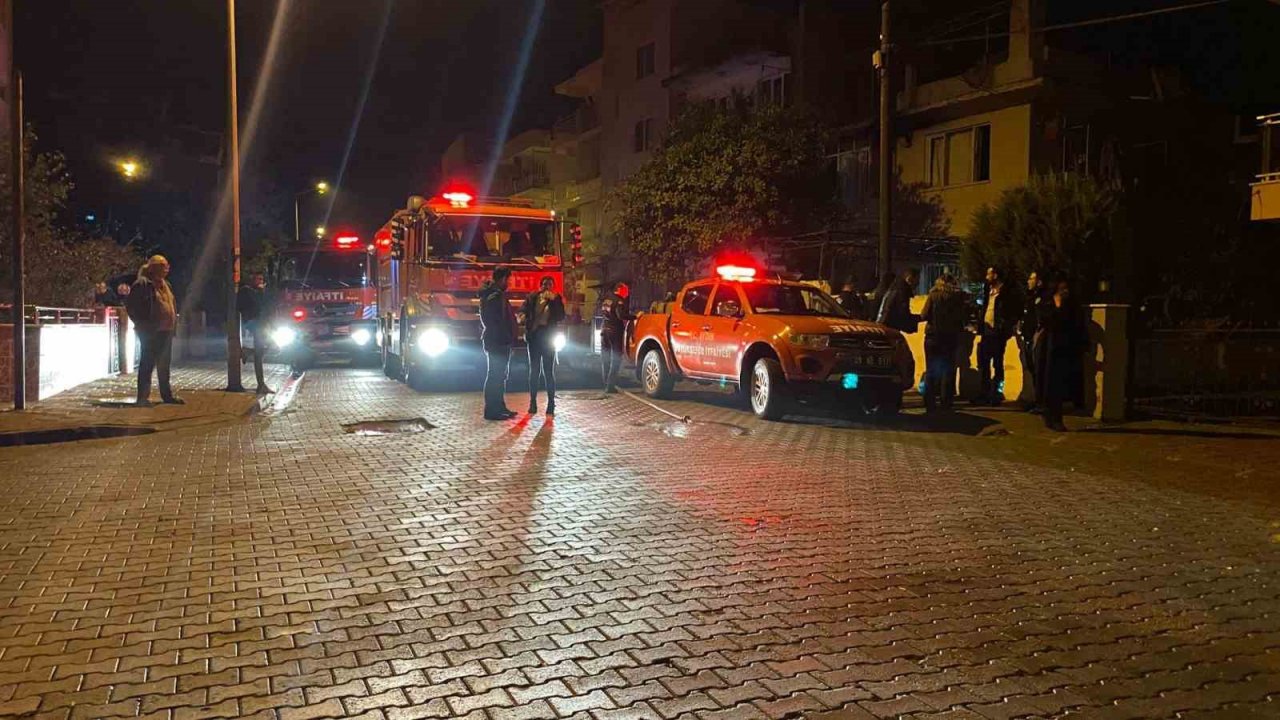 Aydın’da ev yangını panikletti