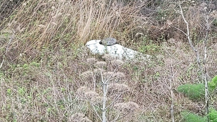 Bandırma’da trafik kazası: Araç tarlaya uçtu, 2 kişi yaralandı