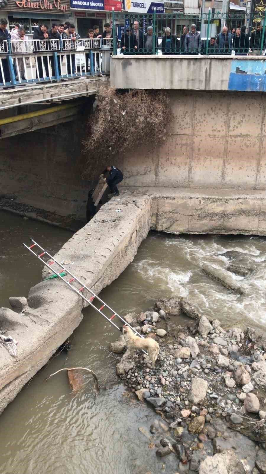 Oltu Çayı’nda köpek kurtarma operasyonu