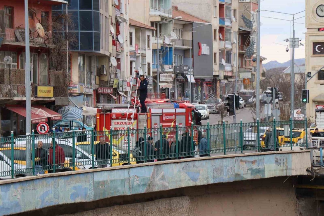 Oltu Çayı’nda köpek kurtarma operasyonu