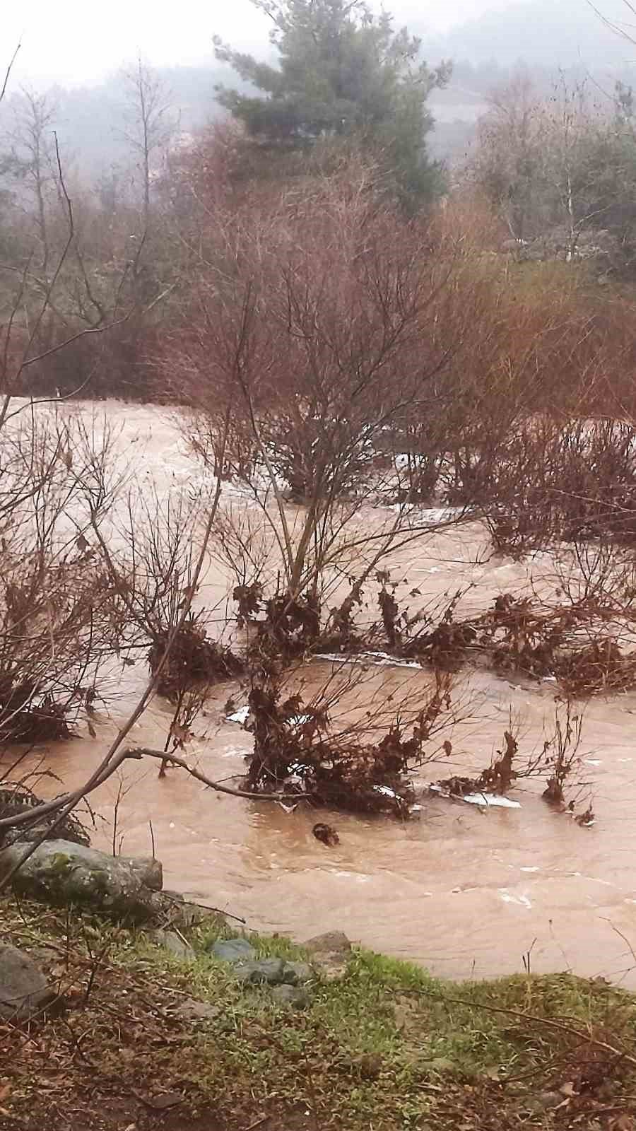 Derede akıntıya kapılan araçtan canlı çıktı, boğularak can verdi